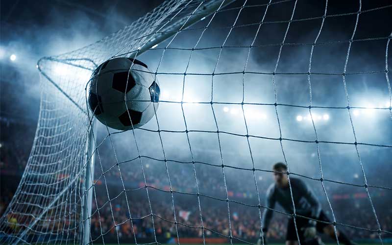 Soccer Ball in Net